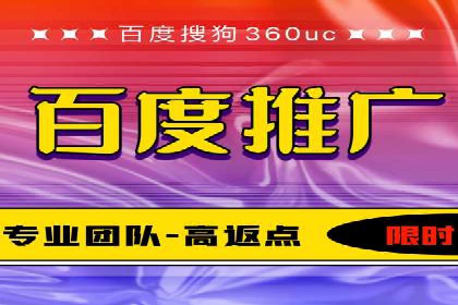 百度竞价排名案例分析：提升网站流量与转化率